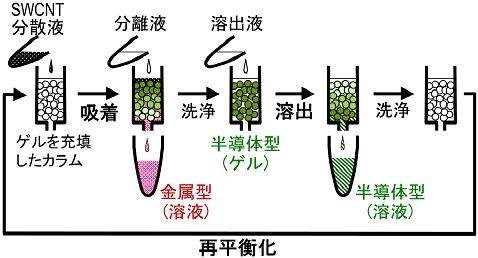 カラムを用いたSWCNTの金属型・半導体型分離の概略図