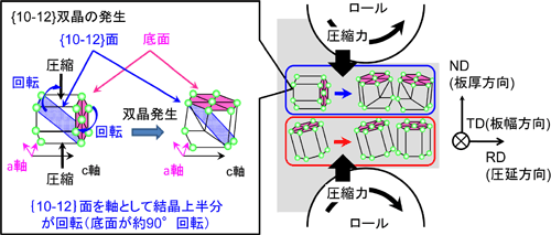 マグネシウムの圧延集合組織の形成メカニズムの図