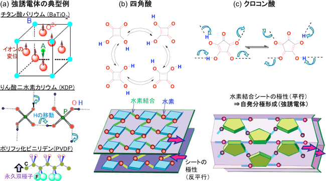 分子レベルで見た強誘電性の起源の比較図