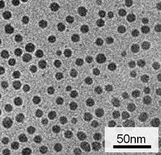 合成した銀ナノ粒子の透過型電子顕微鏡像の写真