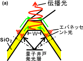 エバネッセント光の二重干渉現象を示す模式図