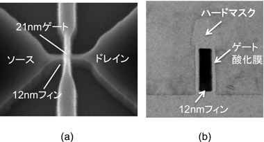 試作したフィンFET上面の走査型電子顕微鏡像とフィンチャネル断面の透過型電子顕微鏡像