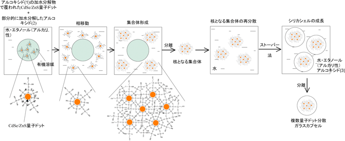 CdSe/ZnS量子ドット集合体を核とした高輝度・高耐久性ガラスカプセルの3段階法による作製の図