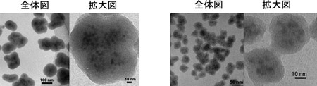 多数のCdSe/ZnS量子ドットを分散したガラスカプセル蛍光体の透過電子顕微鏡像写真