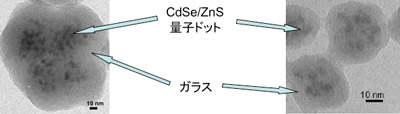 開発した多数の量子ドットを分散した高輝度発光ガラスカプセル蛍光体の透過電子顕微鏡像写真