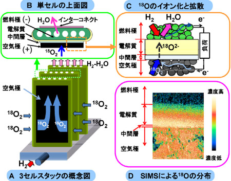 実用機セルスタックの酸素のイオン化反応の活性サイトや濃度分布可視化の例の図