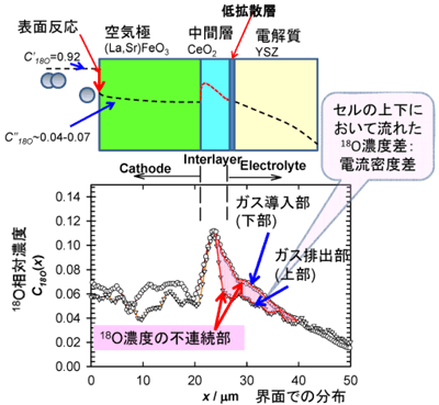 安定同位体酸素濃度分布のガス導入部とガス排出部での比較の図