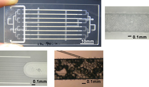 10 %以上の過酸化水素製造に成功したマイクロリアクターの写真