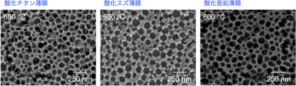 焼成後の各種マクロポーラス薄膜表面の走査型電子顕微鏡像の写真