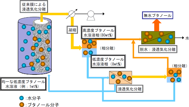 従来の分離膜による低濃度ブタノール水溶液からのブタノール無水化システムの図