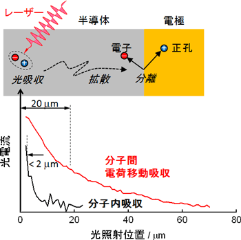 光励起によって生じた励起子が周囲に拡散し電子と正孔に分離していく様子の図