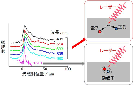 拡散長の励起波長依存性の図