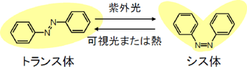 アゾベンゼンの光異性化反応図