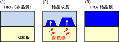 開発した高誘電率結晶膜の合成方法の図