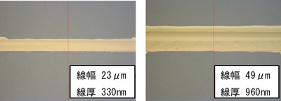 金ナノ粒子インクを用いた印刷により形成した金属配線の顕微鏡像の写真
