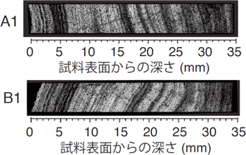 北西太平洋の正徳海山で採取した鉄マンガンクラスト試料から切り出した互いに直交する向きの薄片試料（A1とB1）の走査電子顕微鏡画像の図