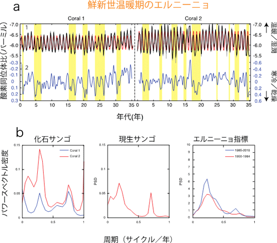 (a)化石サンゴに記録された鮮新世温暖期のエルニーニョ(b)パワースペクトル密度の図