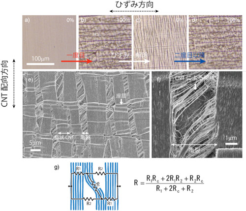 CNTひずみセンサーの伸縮メカニズムと電気抵抗変化モデル図