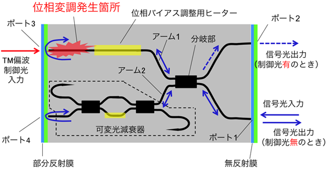 モノリシック集積化光ゲートスイッチ素子の光回路構成図