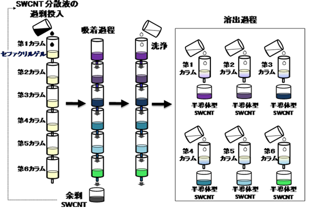 多段カラムへの過剰投入によるSWCNTの構造分離の模式図