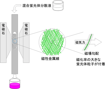 希土類を含む蛍光体混合物の種類別分離の模式図