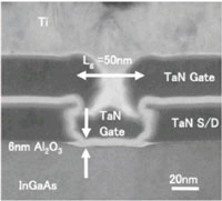 ゲート長50 nm のInGaAs nMOSFETの断面写真