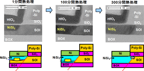熱処理時間に対するエピタキシャルNiSi2ソース・ドレイン接合の位置変化の断面TEM像の図