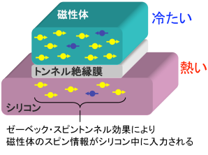 ゼーベック・スピントンネル効果を観測するための素子の構造図