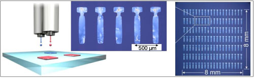 新しいインクジェット印刷法で各位置に形成した有機半導体単結晶薄膜の図