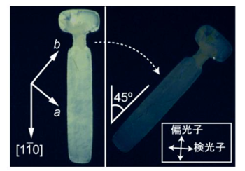 有機半導体単結晶薄膜のクロスニコル顕微鏡像の写真