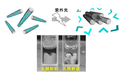 (上）光で脱離する分散剤の概念図と（下）光照射前後で分散性の変化したSWNCT水溶液の写真