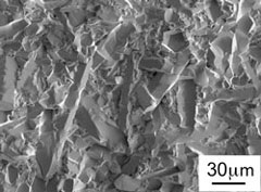 開発した高熱伝導率窒化ケイ素の破断面の電子顕微鏡の写真