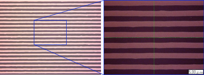 本技術による成果の写真