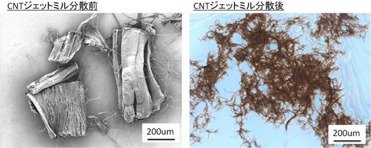 単層CNTの分散の様子の写真