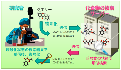 今回開発したシステムの概要の図