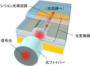 シリコン光導波路と光ファイバーとの間で光信号を拡大/縮小する光変換器の図