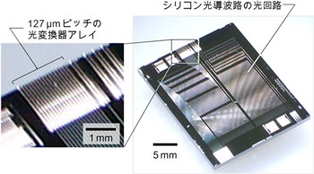 試作した光変換器のアレイ（左）を搭載した光IC（右）の写真