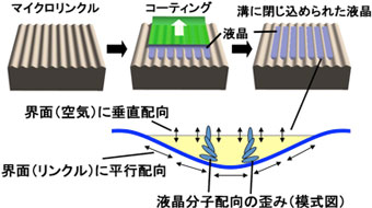 液晶をマイクロリンクルに閉じ込める実験手順（上）と液晶の界面配向条件（下）図