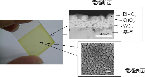 積層光電極の写真（左）と電子顕微鏡写真（右）
