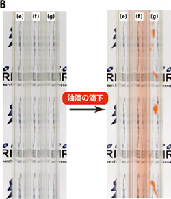 表面処理したガラス管内に滴下した油滴の様子の写真