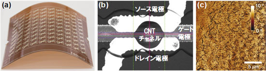 10×10 CNTトランジスタアレー、CNTトランジスタ光学顕微鏡像、CNTチャネル走査プローブ顕微鏡像