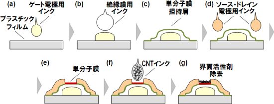 印刷CNTトランジスタの製造工程図
