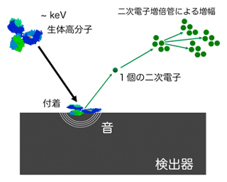 従来のイオン検出と超伝導によるイオン検出の相違図