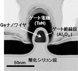 試作したGeナノワイヤトランジスタ断面の透過電子顕微鏡像の写真
