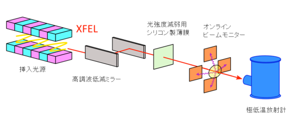 XFELビームラインでのセットアップの概略図