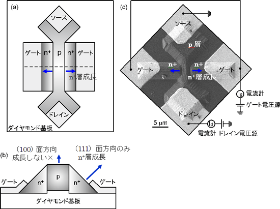 ダイヤモンド半導体による接合型電界効果トランジスターの図