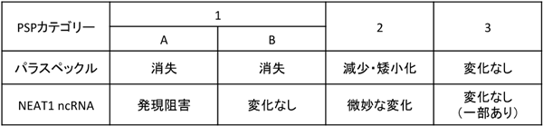 機能阻害した際のパラスペックルとNEAT1の変化とパラスペックルタンパク質（PSP）の分類の表