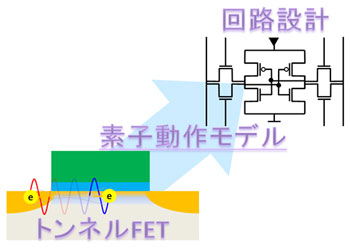 低電圧動作トンネルFETを用いた大規模集積回路 (LSI) 回路設計までの流れの図