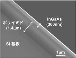 ポリイミド上のInGaAs層の断面電子顕微鏡画像