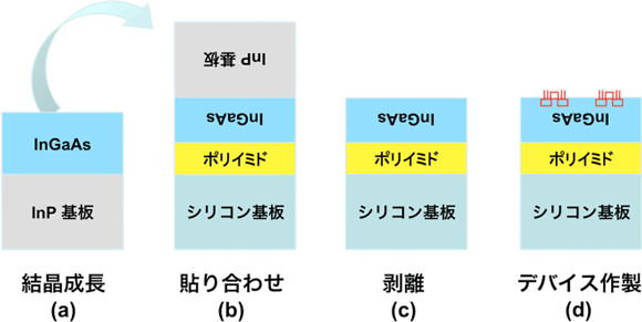 ポリマー上のトランジスタ作製方法の図